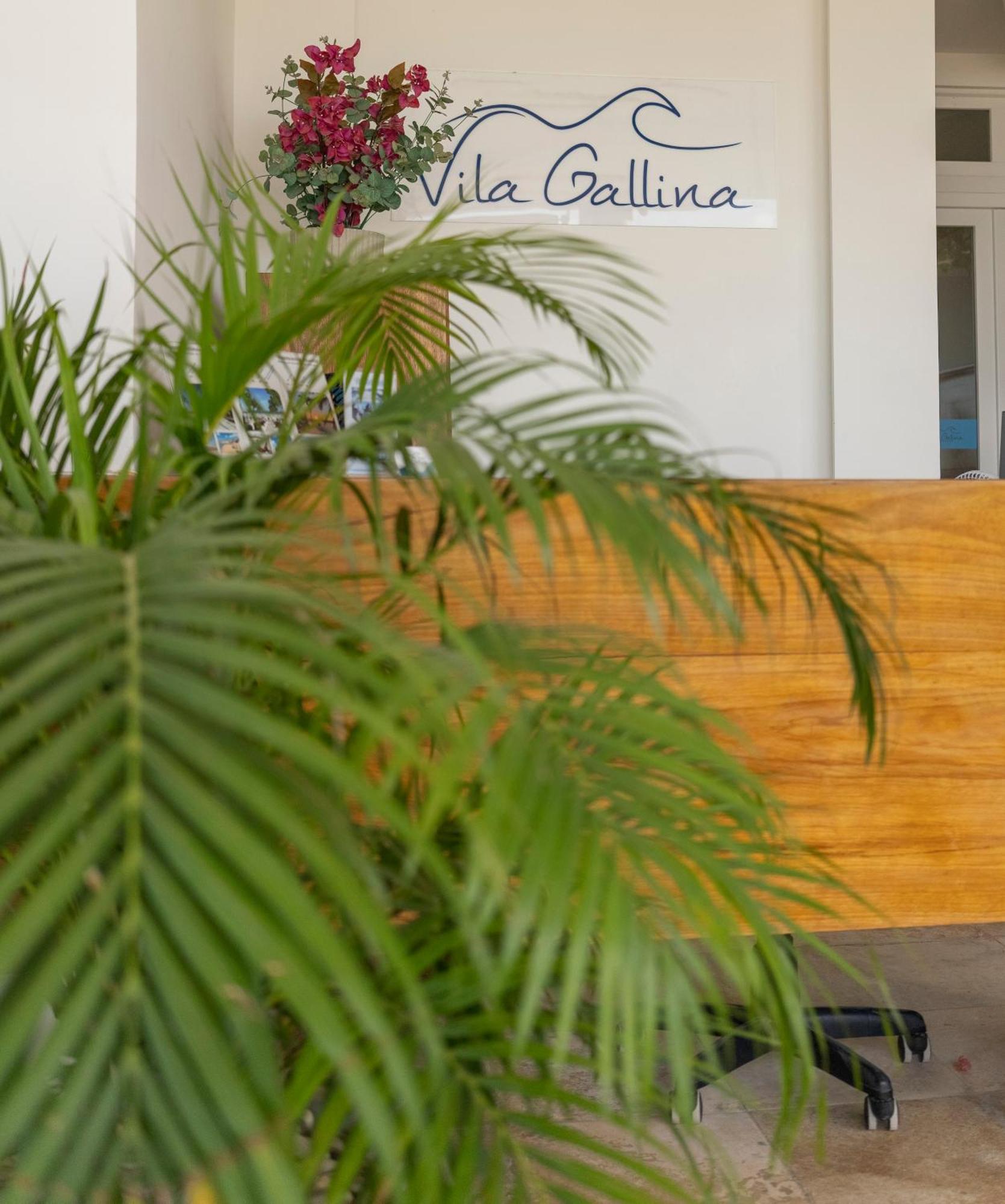 Vila Gallina Pousada Jijoca de Jericoacoara Kültér fotó